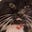 Dame Patsy Purrlina OAP's avatar