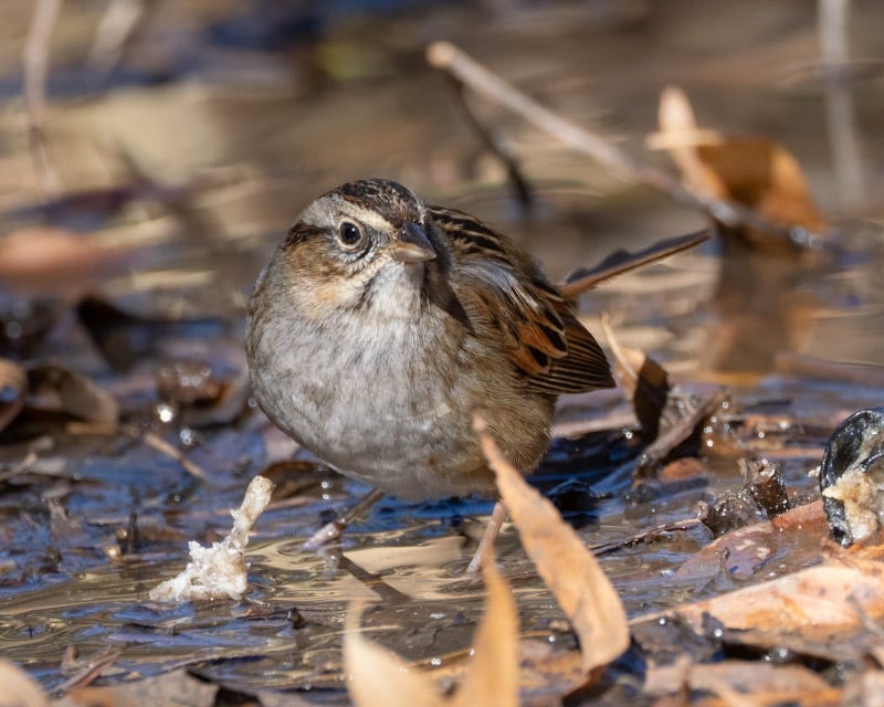 20250114-LakesidePark-305-Edit.jpg