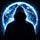 X avatar for @WikiLeaksQ