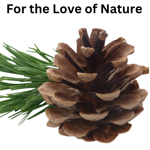 For the Love of Nature with Sue Kusch