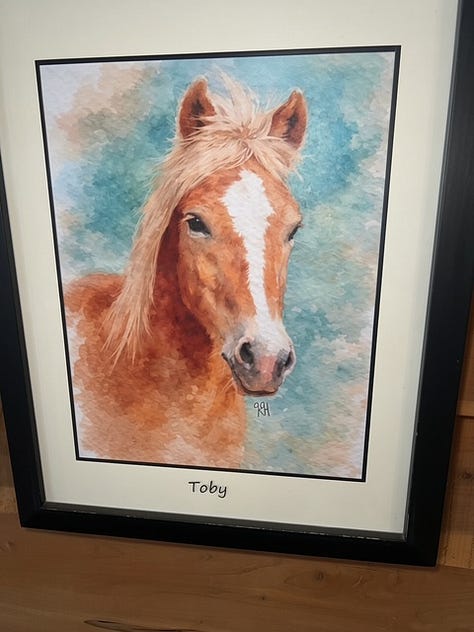Paintings of horses by Krystal Hindman