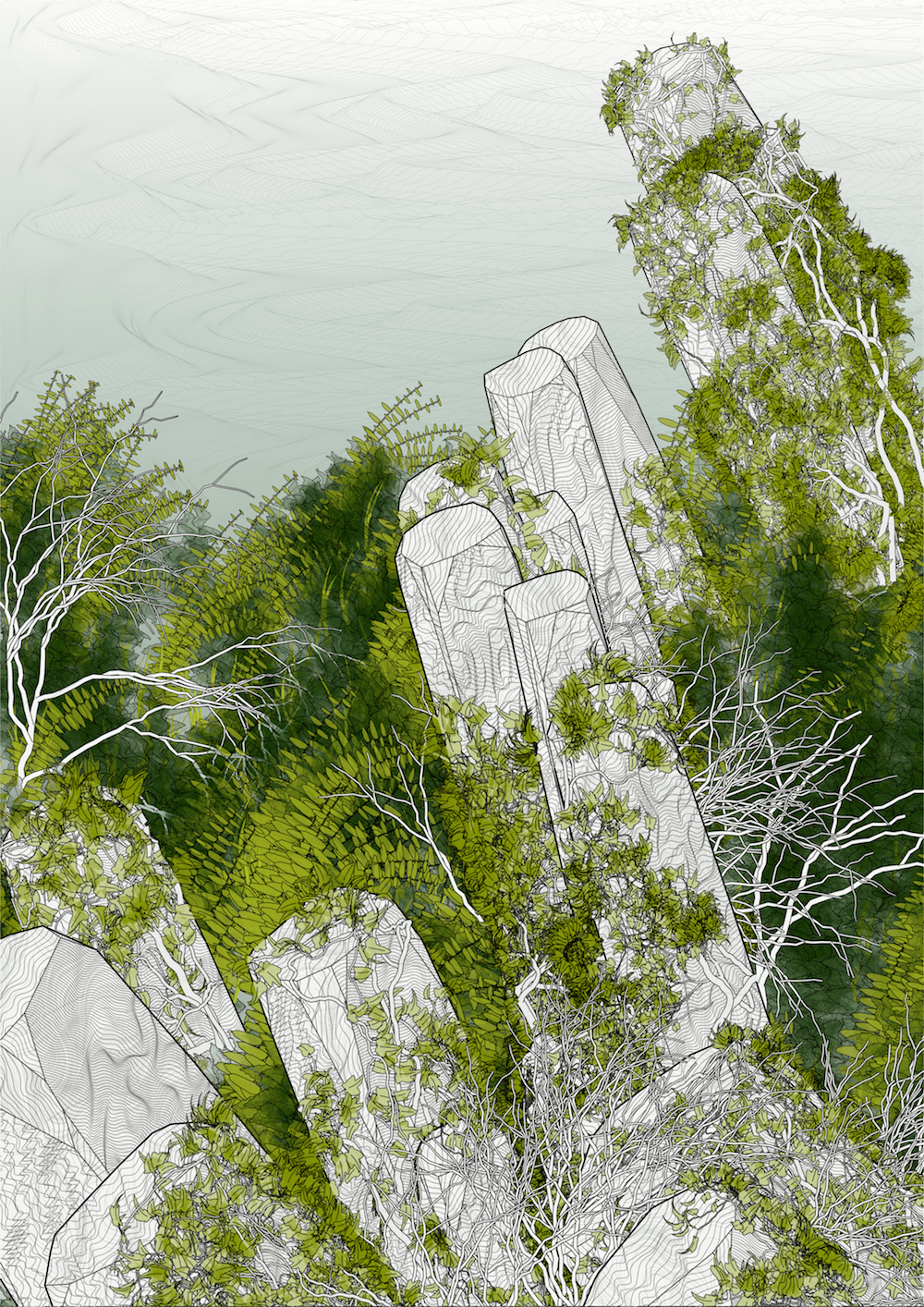 On the New Evolution of Generative Art