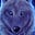 LynT's avatar