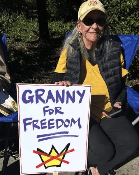 "No Kings" Useful Idiots Promote Assassinations