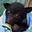 Batty McBatface's avatar