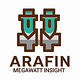 Arafin's Megawatt Insight
