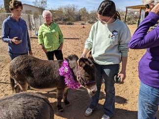 A group of people standing around a donkey

AI-generated content may be incorrect.