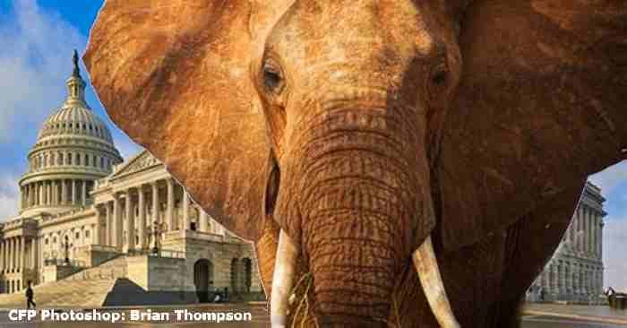 Republicans, Don't Botch the Hearings