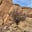 Desert Highway 57's avatar