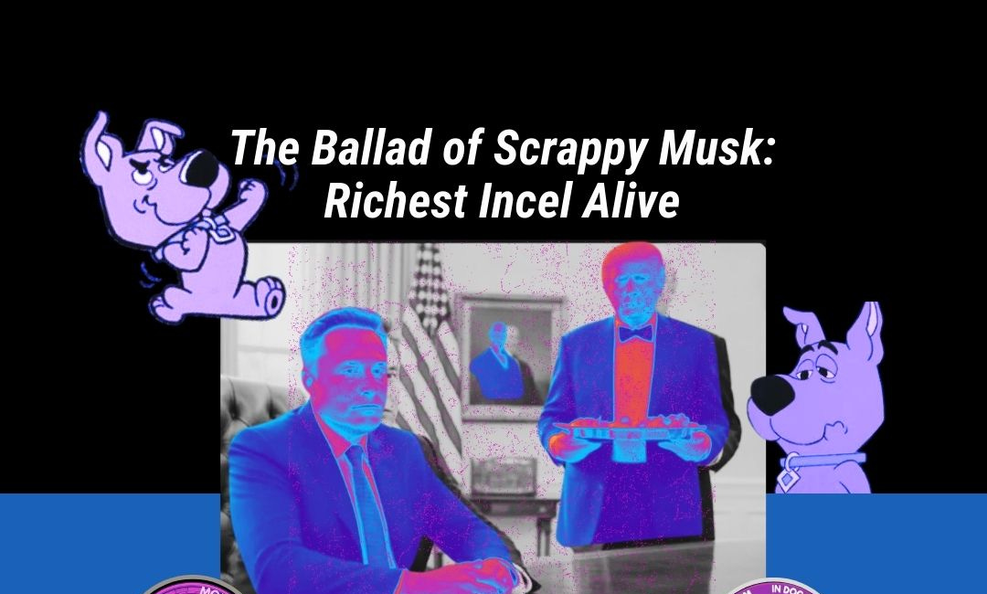 The Ballad of Scrappy Musk: Richest Incel Alive