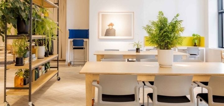 Photo of SaksWorks space with light and tables and chairs and plants