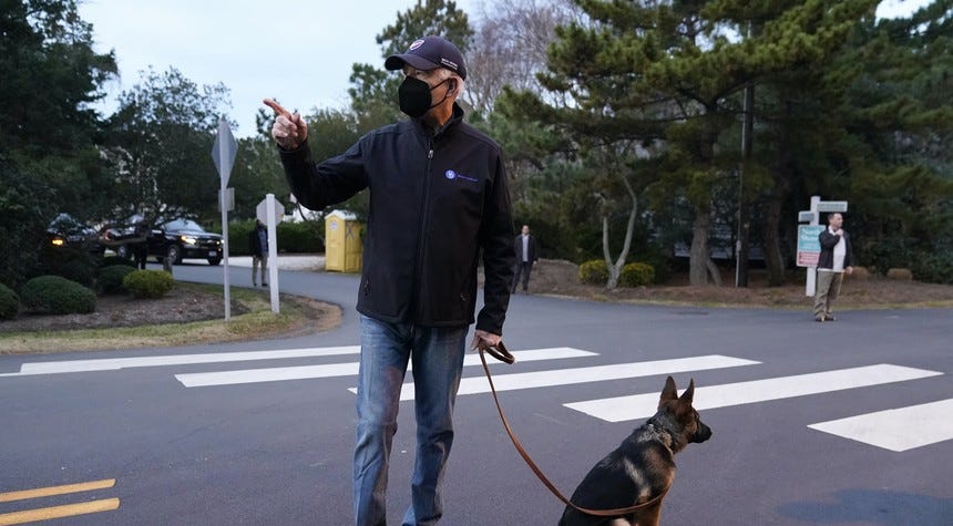 OUTRAGE REPORT: Biden 'Kicks, Punches' His Dogs