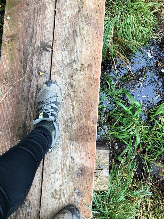 Foot in running shoe next to fresh bear print on a boardwalk. Foot in running shoe next to fresh bear print on a boardwalk.