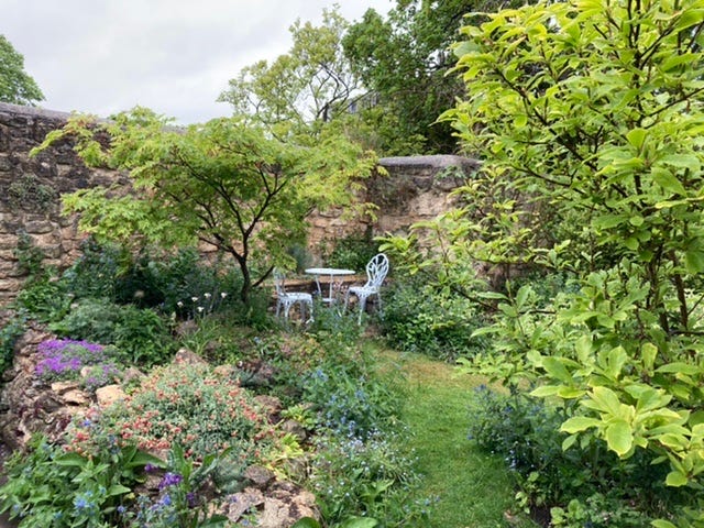Corner of garden at Quaker meeting house