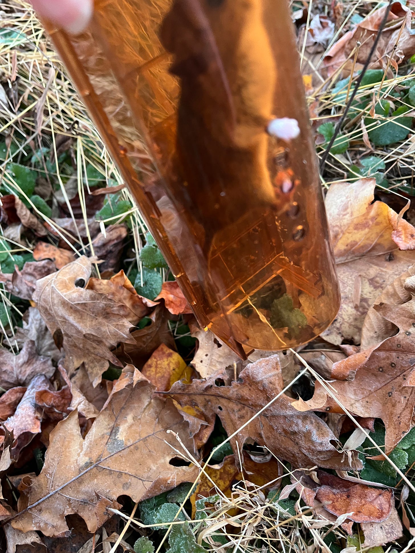 Photo of a mouse in a live trap with his paw sticking out through one of the air holes.