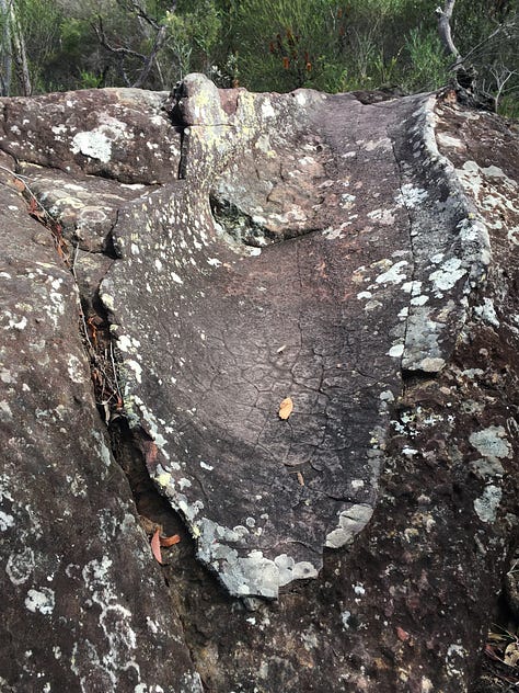Womens rock, giant Grandmother Tree, crocodile writing