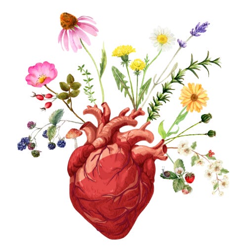 Heartlands and Wild Edges