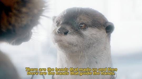 Small and Cute and Ethnically Hard to Pin Down — Guardians of the Galaxy  Vol. 3 (2023), dir. James...