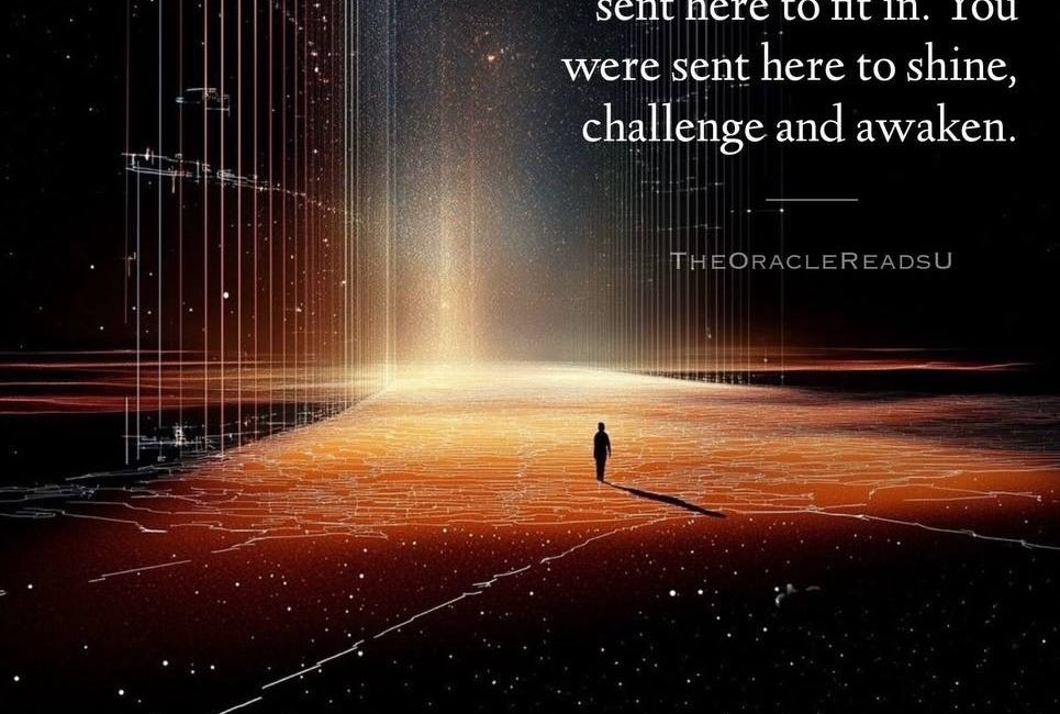 You Weren't Sent Here To Fit In