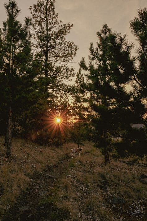 Fuji photographs of life in Montana by Tyler Knott Gregson