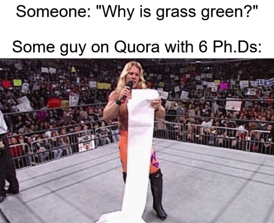 meme meme