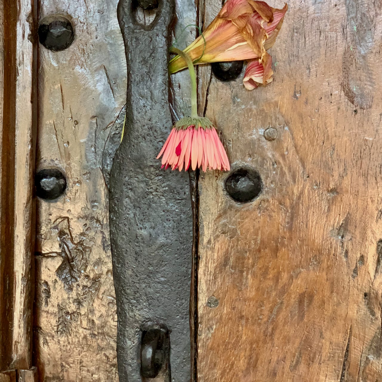 Rough Draft Productions 