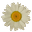 yueyue daisy ❀'s avatar