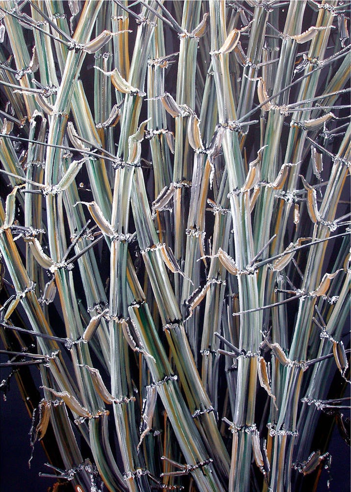 Rajan Krishnan Plant from the Grove by the River 5