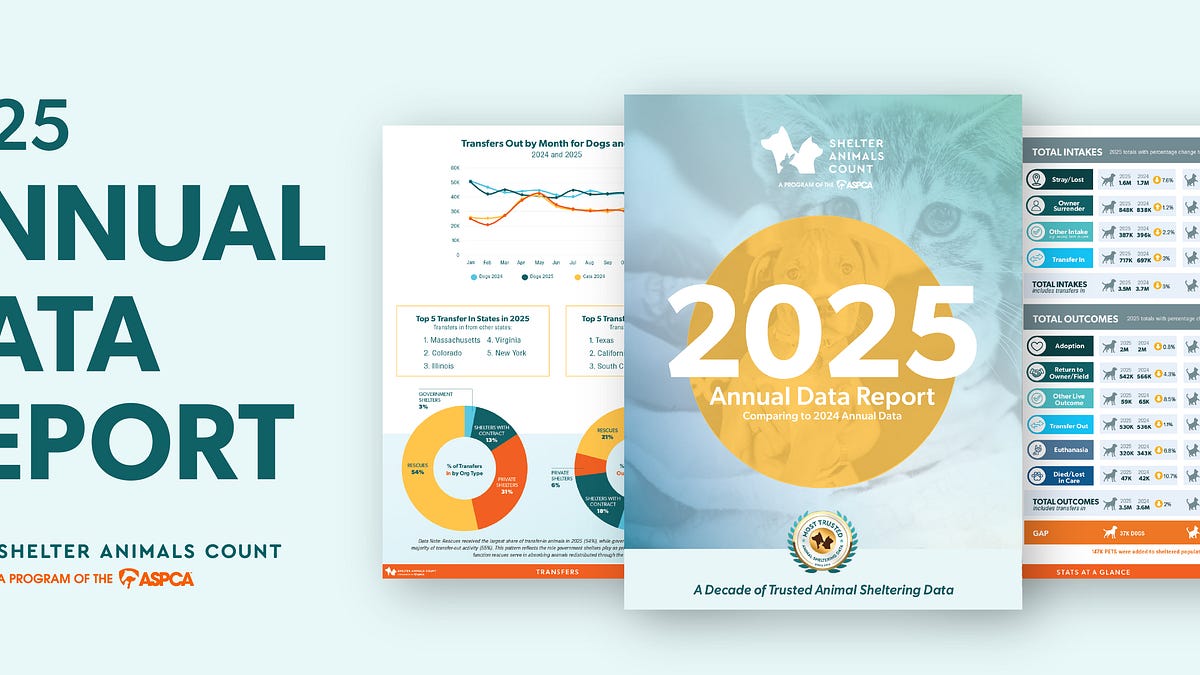 Shelter Animals Count Releases 2025 Annual Data Report, Marking 10 ...