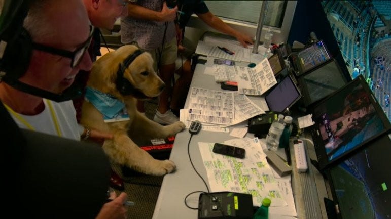 Kirk Herbstreit's dog, Peter Herbstreit, wearing a headset in the booth of TCU @ UNC in the 4th quarter.