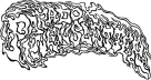 Paradox Newsletter