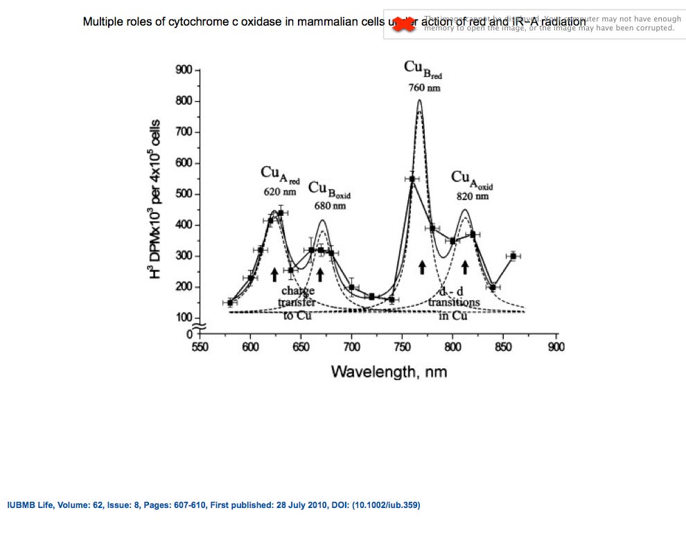 No alt text provided for this image