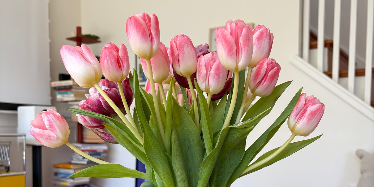 8 spring rituals for the northern california home