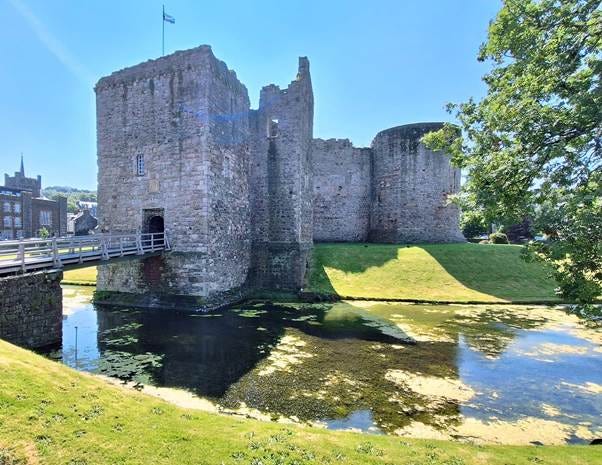 May be an image of castle