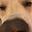 Isaachud's avatar