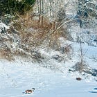 🪷Deep breaths and compassion