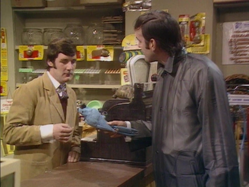 Dead Parrot | Monty Python Wiki | Fandom