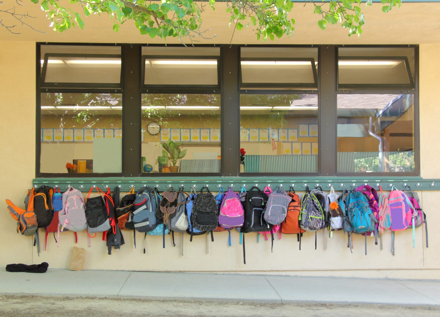 A row of colorful backpacks hangs neatly on hooks outside a classroom window, sunlight filtering gently through nearby trees and casting a warm glow across the scene.