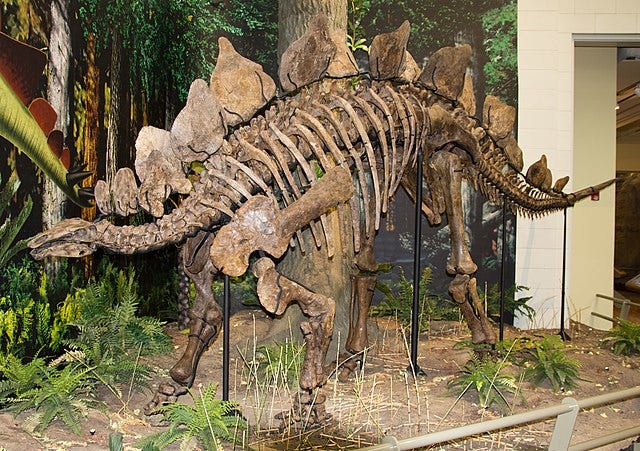Dinosaur - Wikipedia Dinosaur - Wikipedia