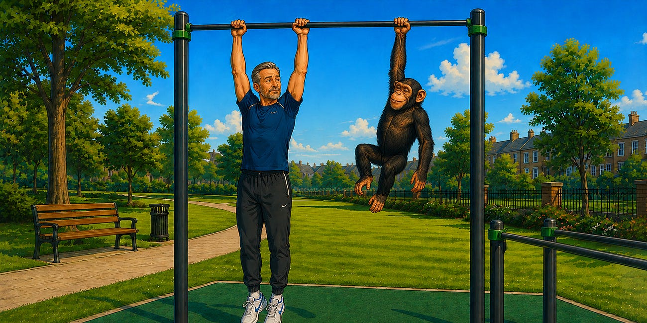 Grip Happens: What the Dead Hang Test Reveals About Your Healthspan