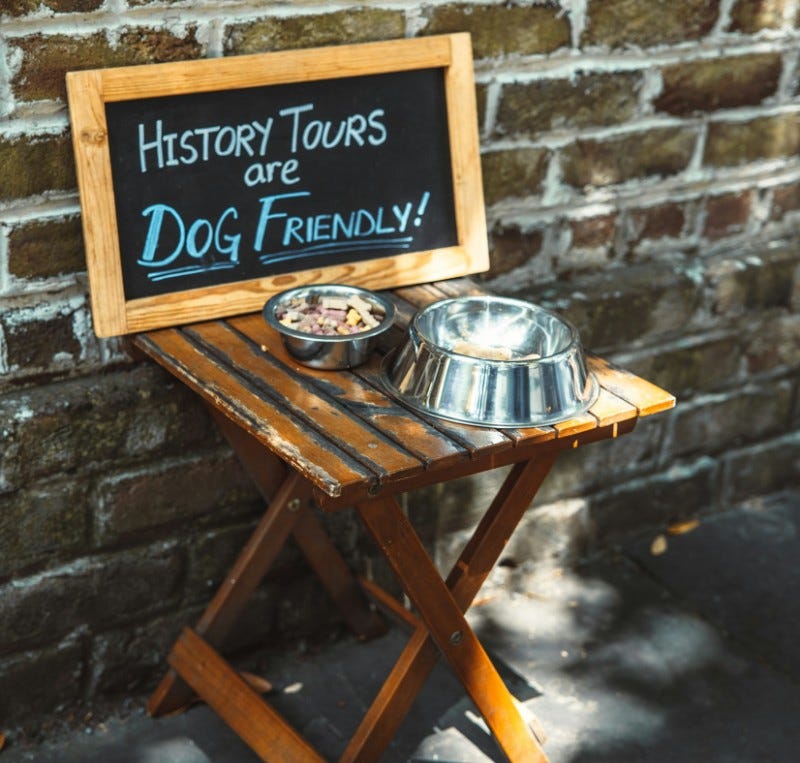 Dog dishes on a low foldout table near a sign that says "history tours are dog friendly"