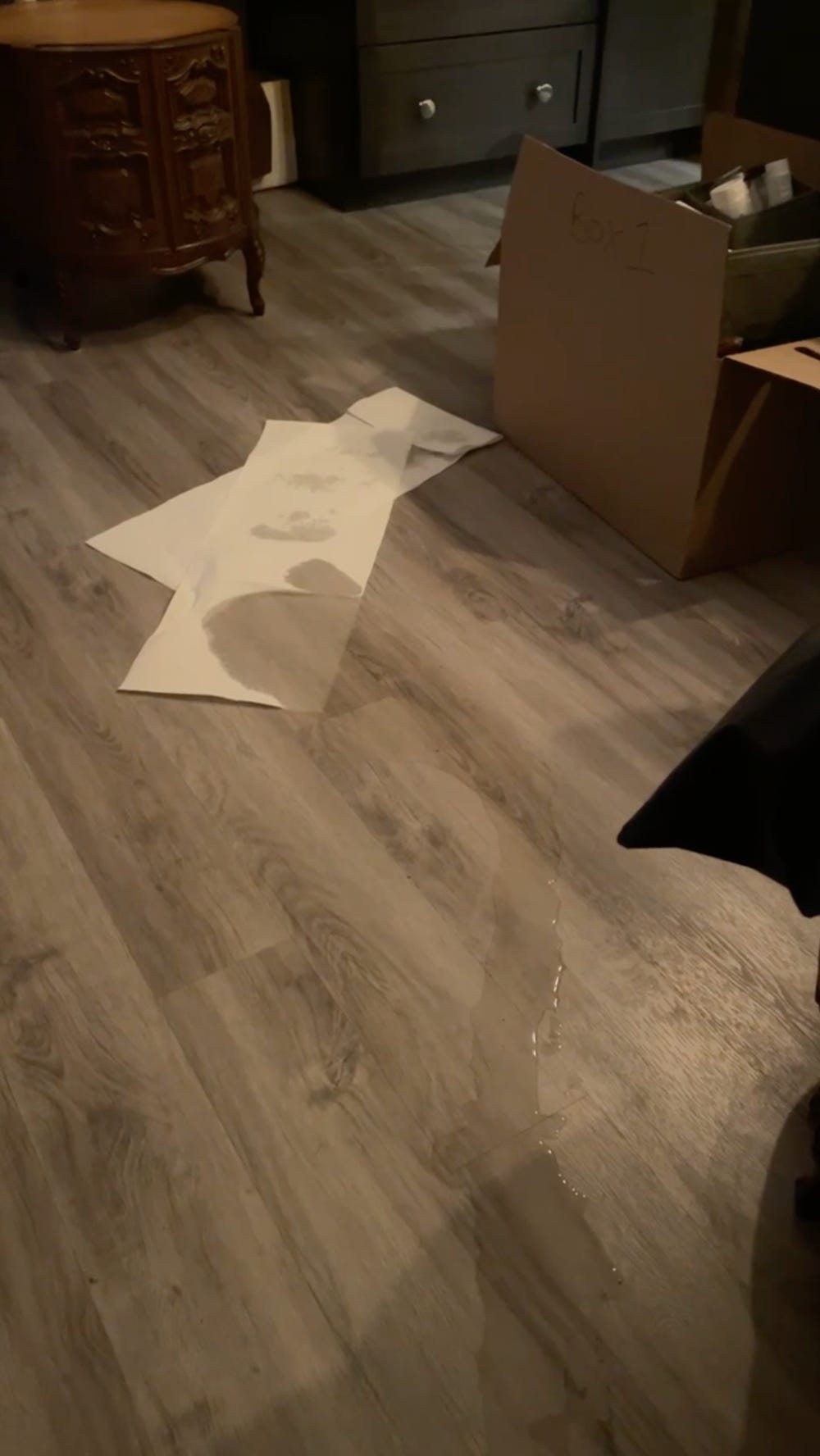 A trail of pee on the apartment floor, next to moving boxes. A trail of pee on the apartment floor, next to moving boxes.