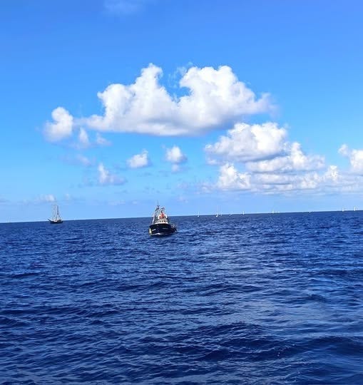 May be an image of sailboat, sail, parasail and ocean