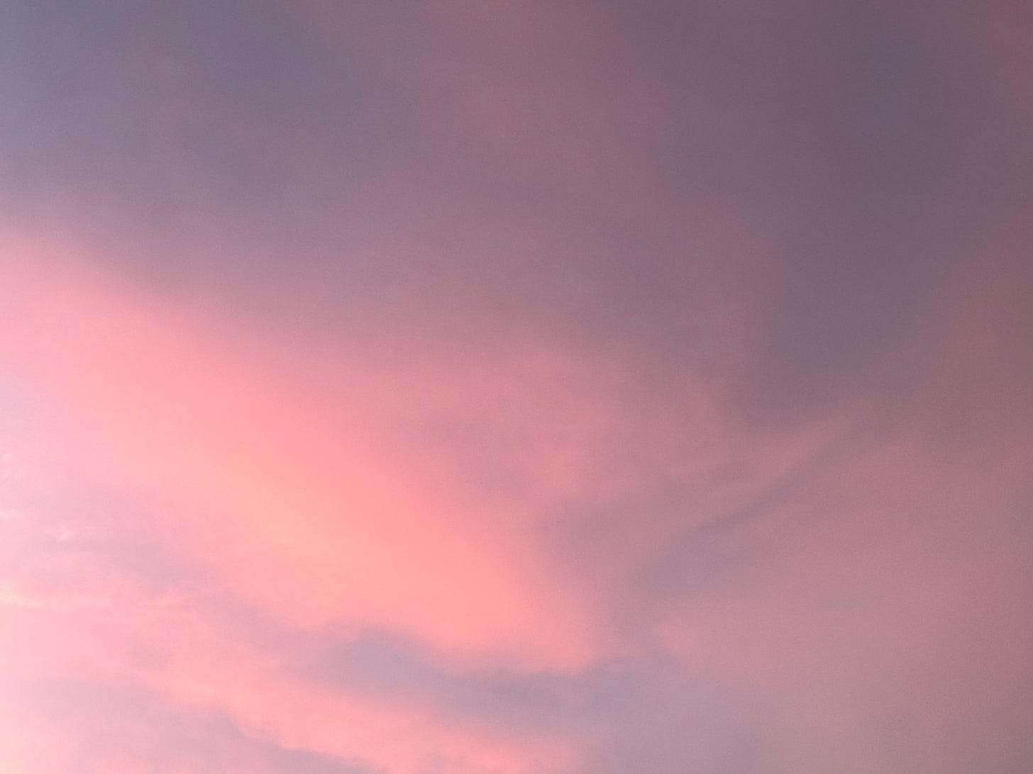 Violet crown sunset
