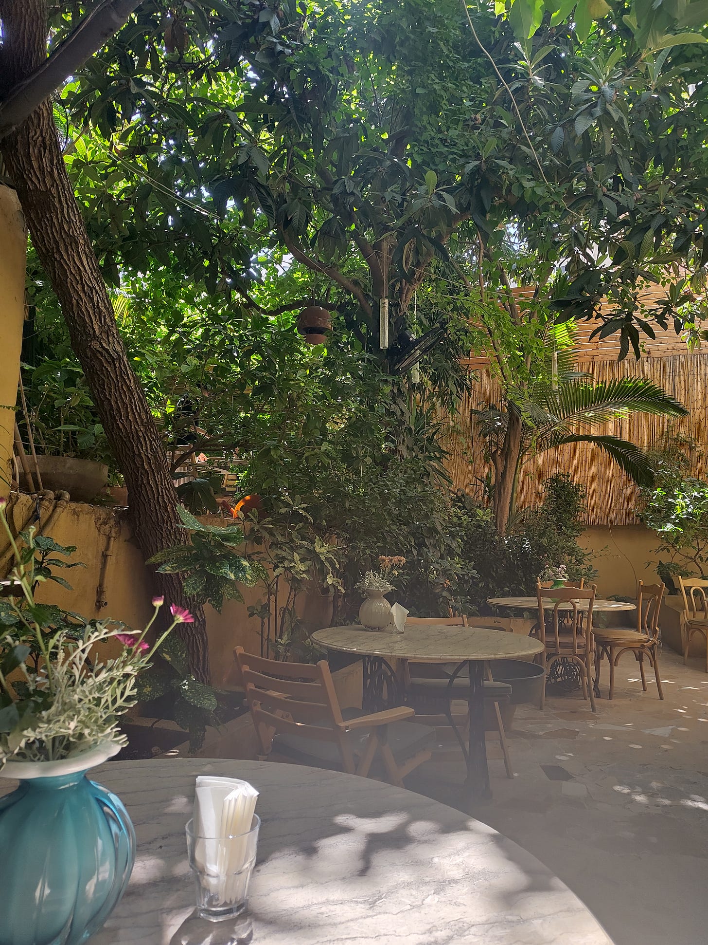 A beautiful courtyard at a cafe in Beirut, with lush green trees and plants. The tables and chairs are empty.