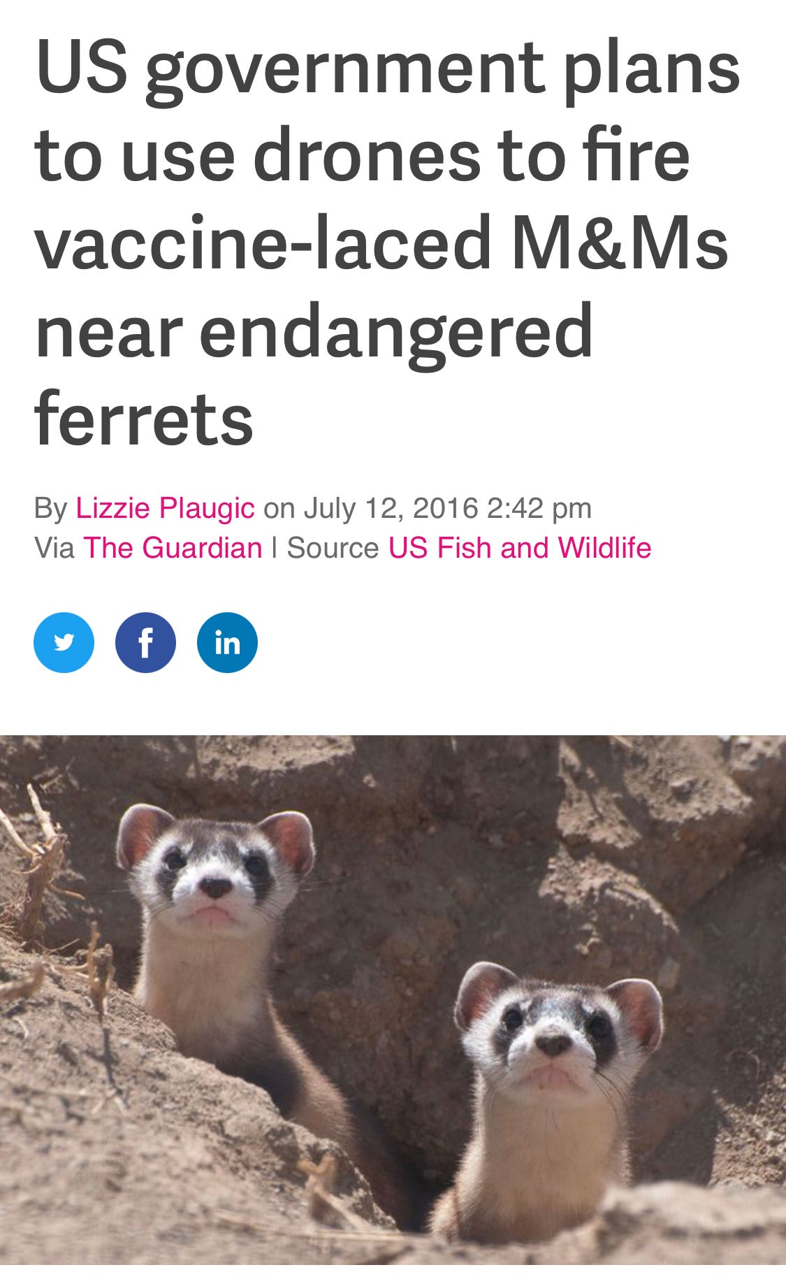 A picture containing text, mammal

Description automatically generated