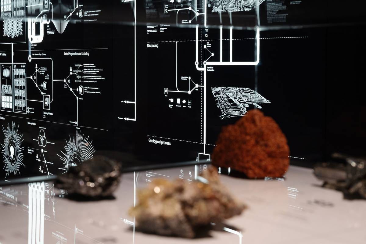 Installation image of minerals displayed in front of a black-and-white artwork. Installation image of minerals displayed in front of a black-and-white artwork.