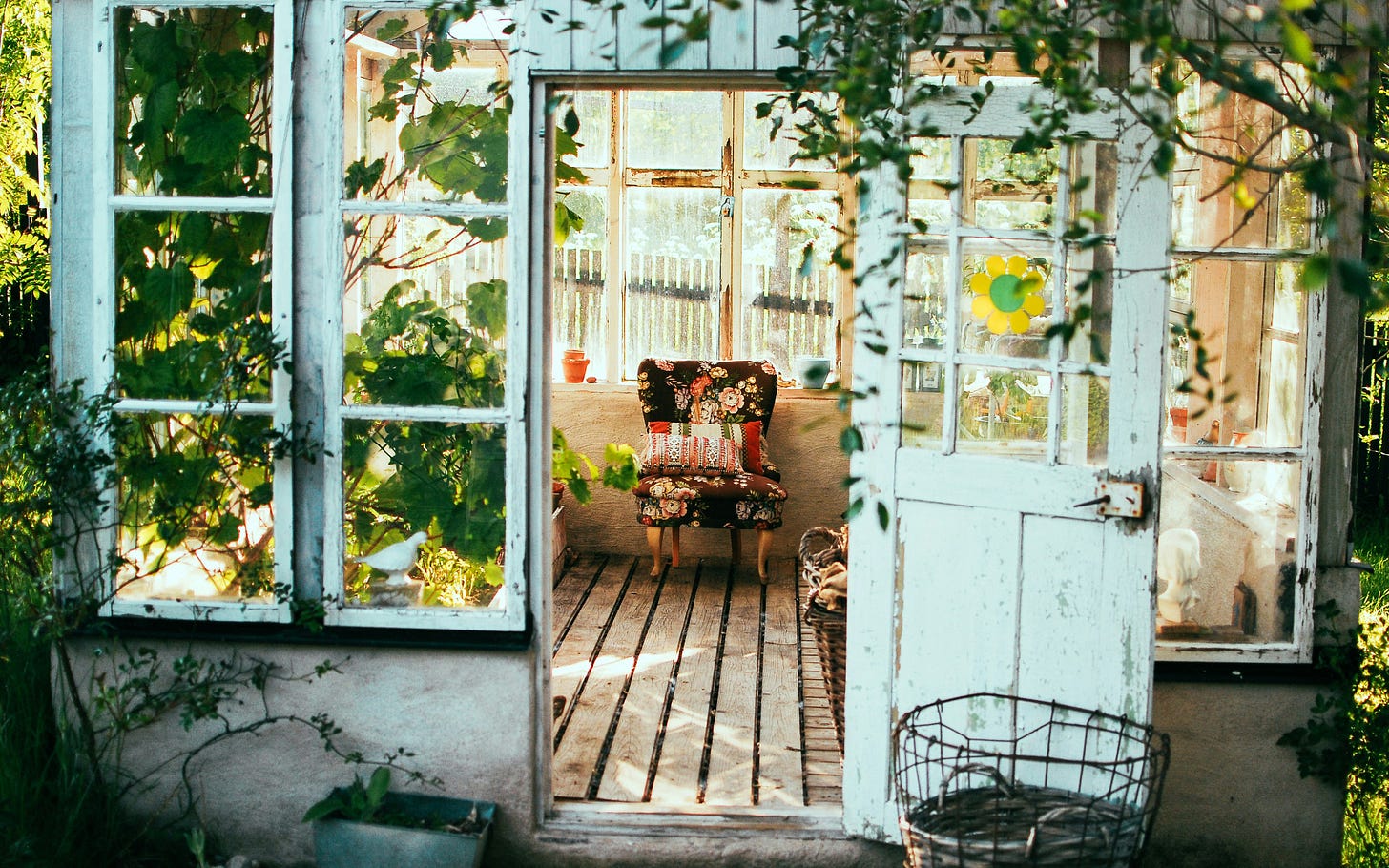 A small shack with plants growing in it, wide floor boards, and a chair with floral upholstery in the middle.