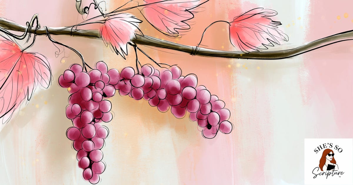 Watercolor illustration of a grapevine branch with deep purple grapes on a blush pink and cream background, evoking John 15 and the teaching "you are already clean." Watercolor illustration of a grapevine branch with deep purple grapes on a blush pink and cream background, evoking John 15 and the teaching "you are already clean."