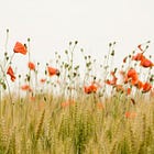 Being Both Highly Sensitive and Autistic: The Sensitive Autistic Neurotype